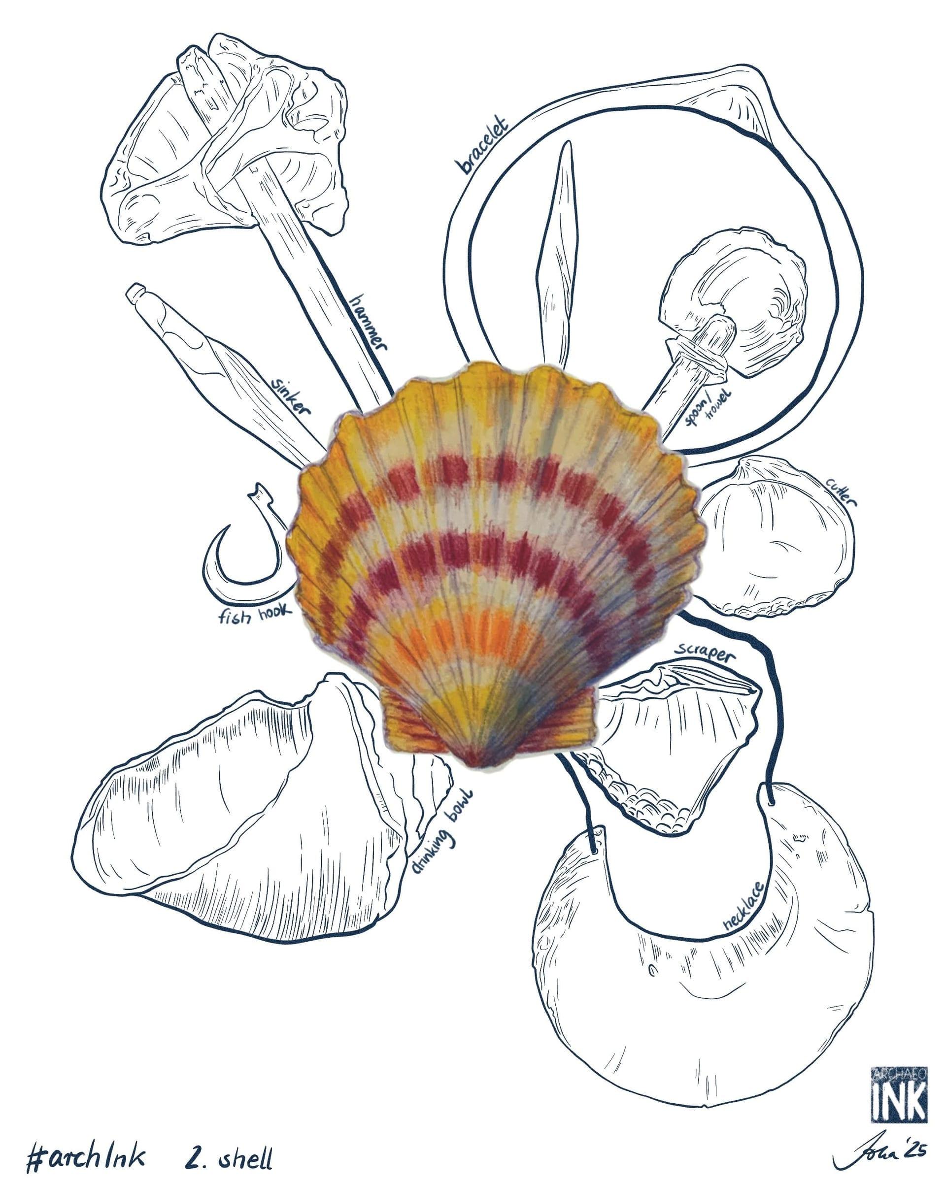 archInk object study with a coloured shell at its centre