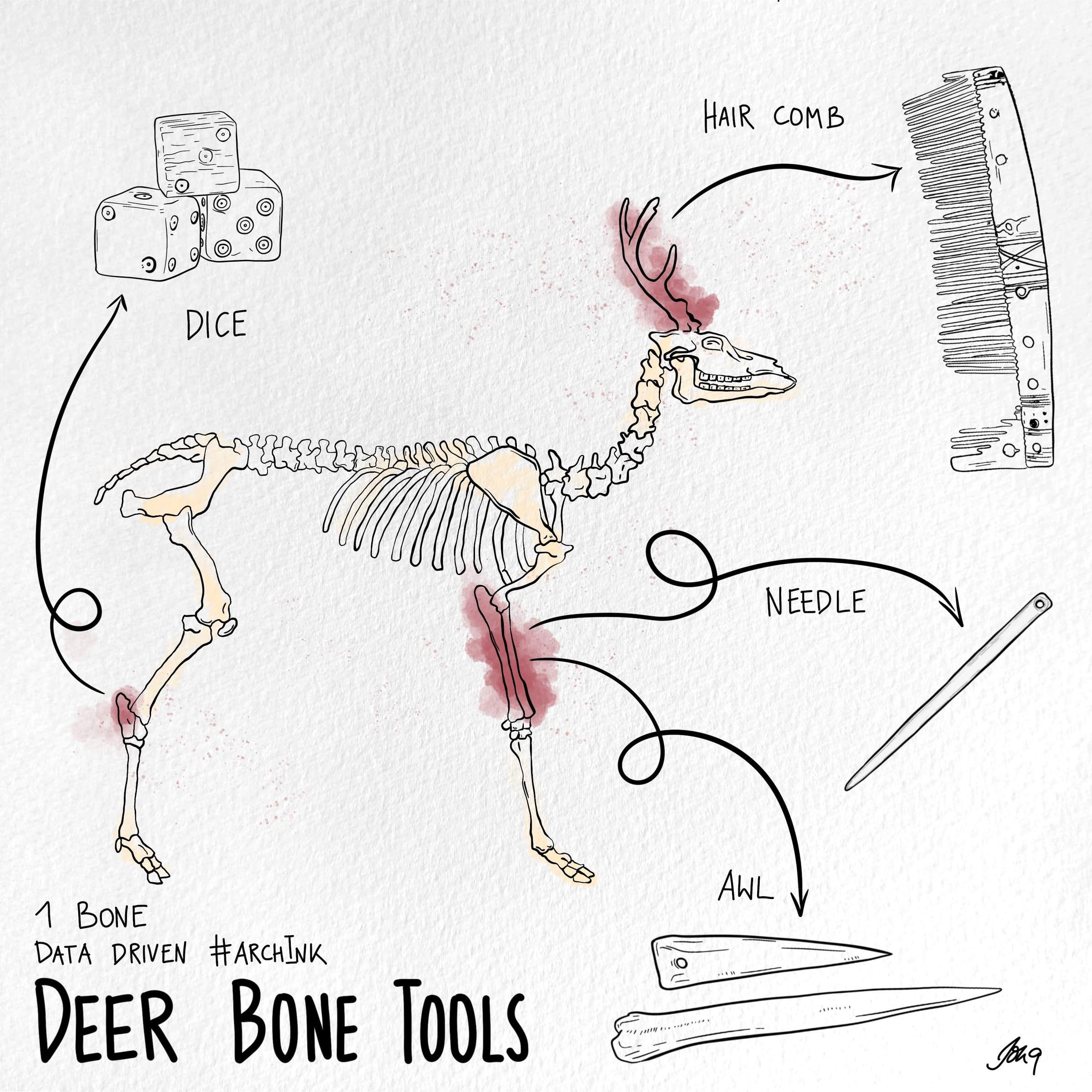 Deer Bone Tools