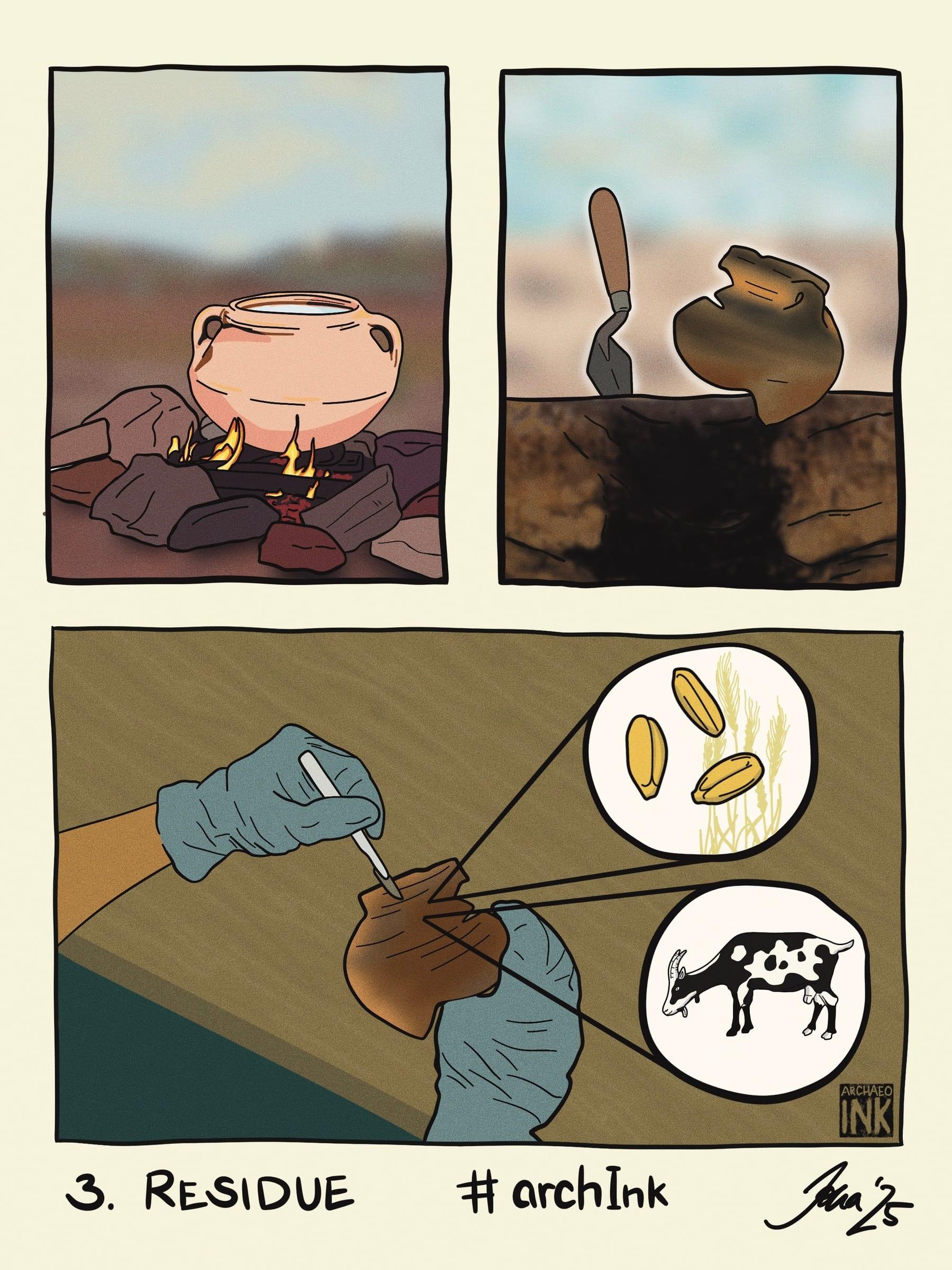 Four-panel archInk drawing about archaeological residue analysis