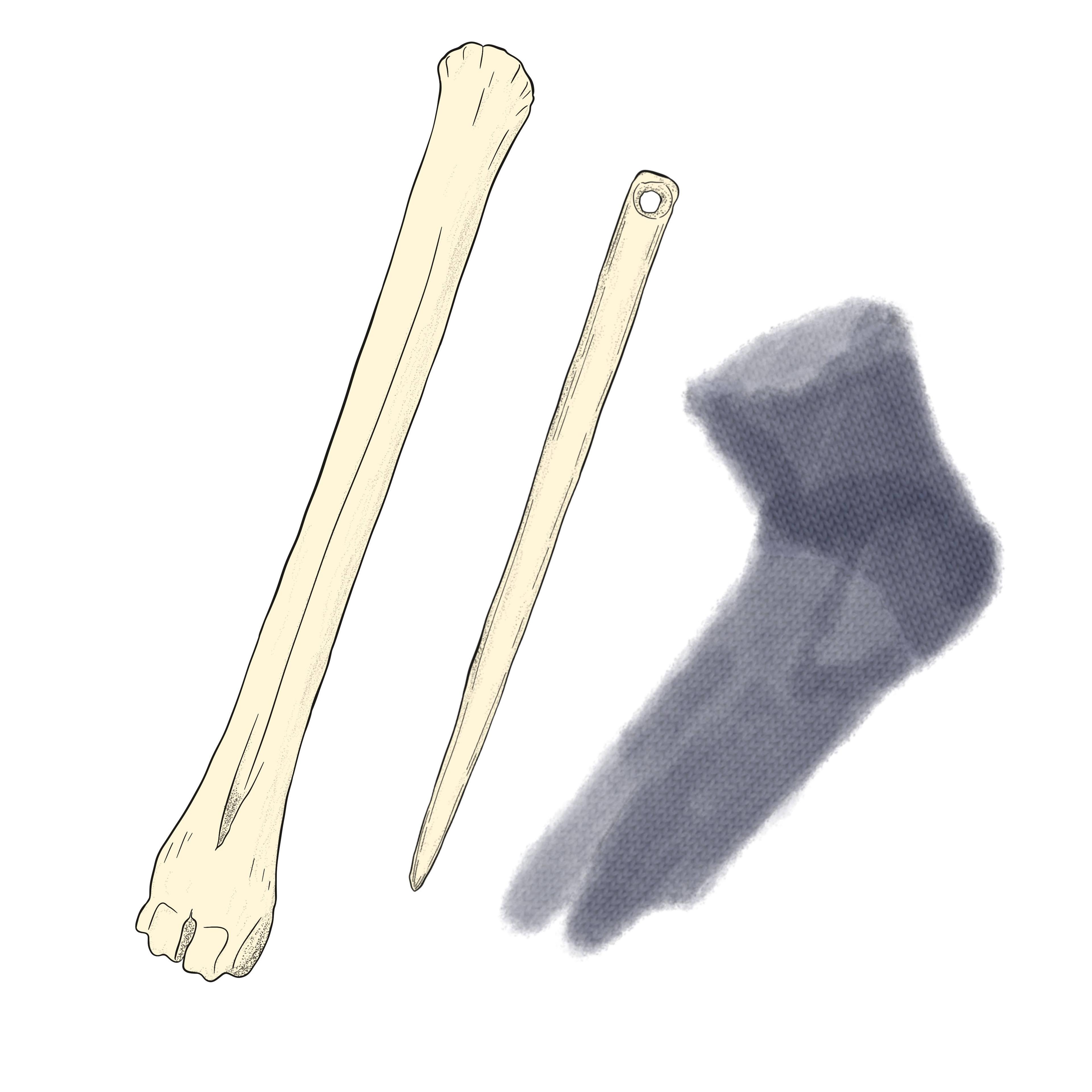 Ancient Sock Bones