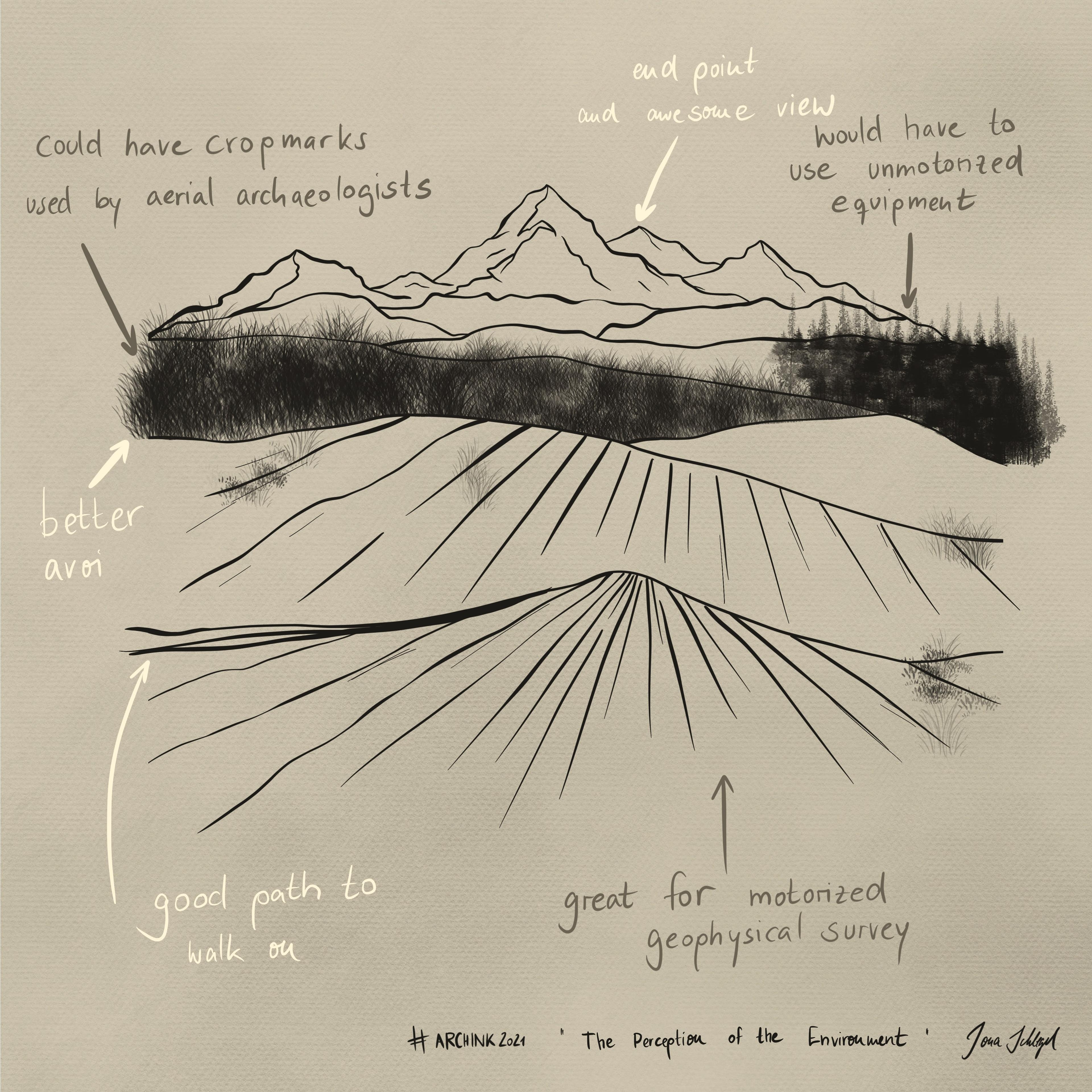 The Perception Of The Environment