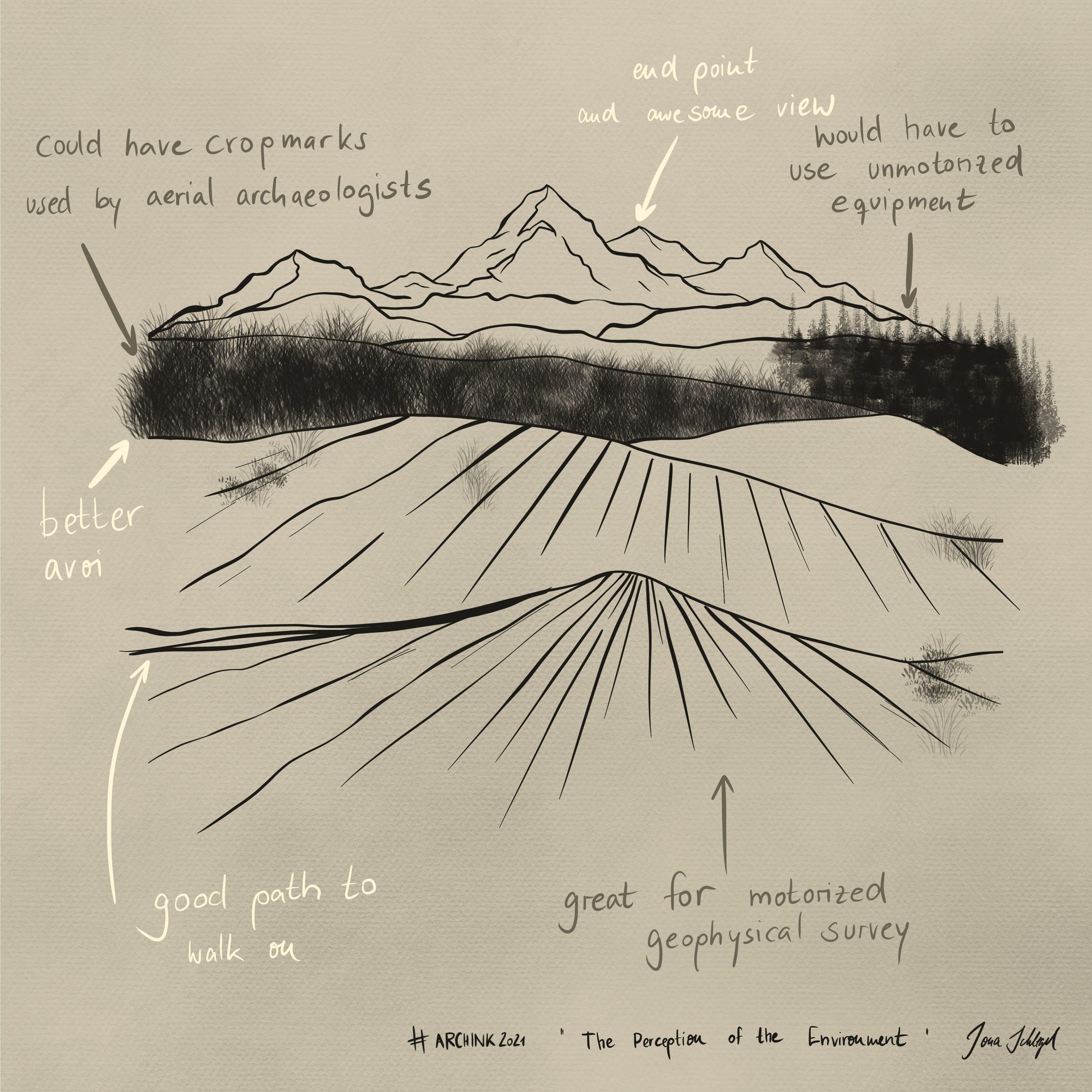 The Perception Of The Environment