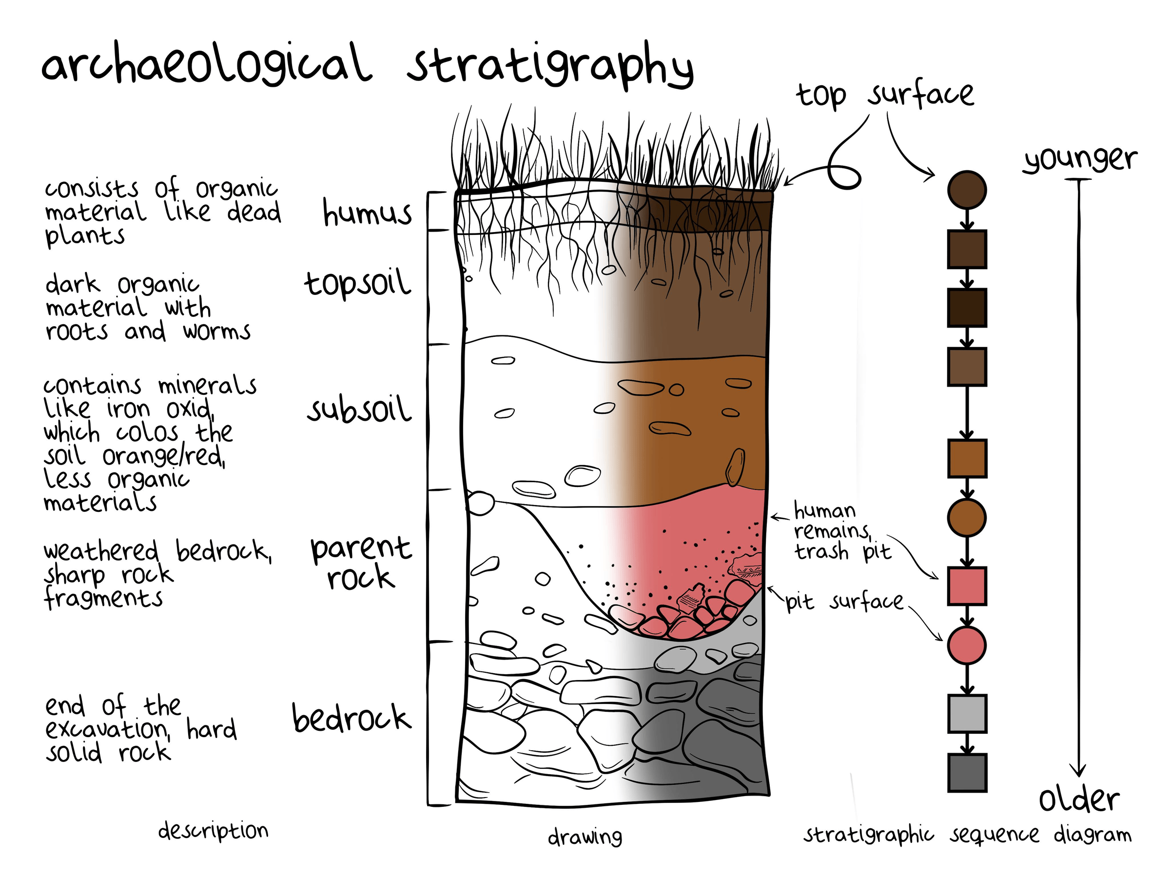 Archaeological Stratigraphy