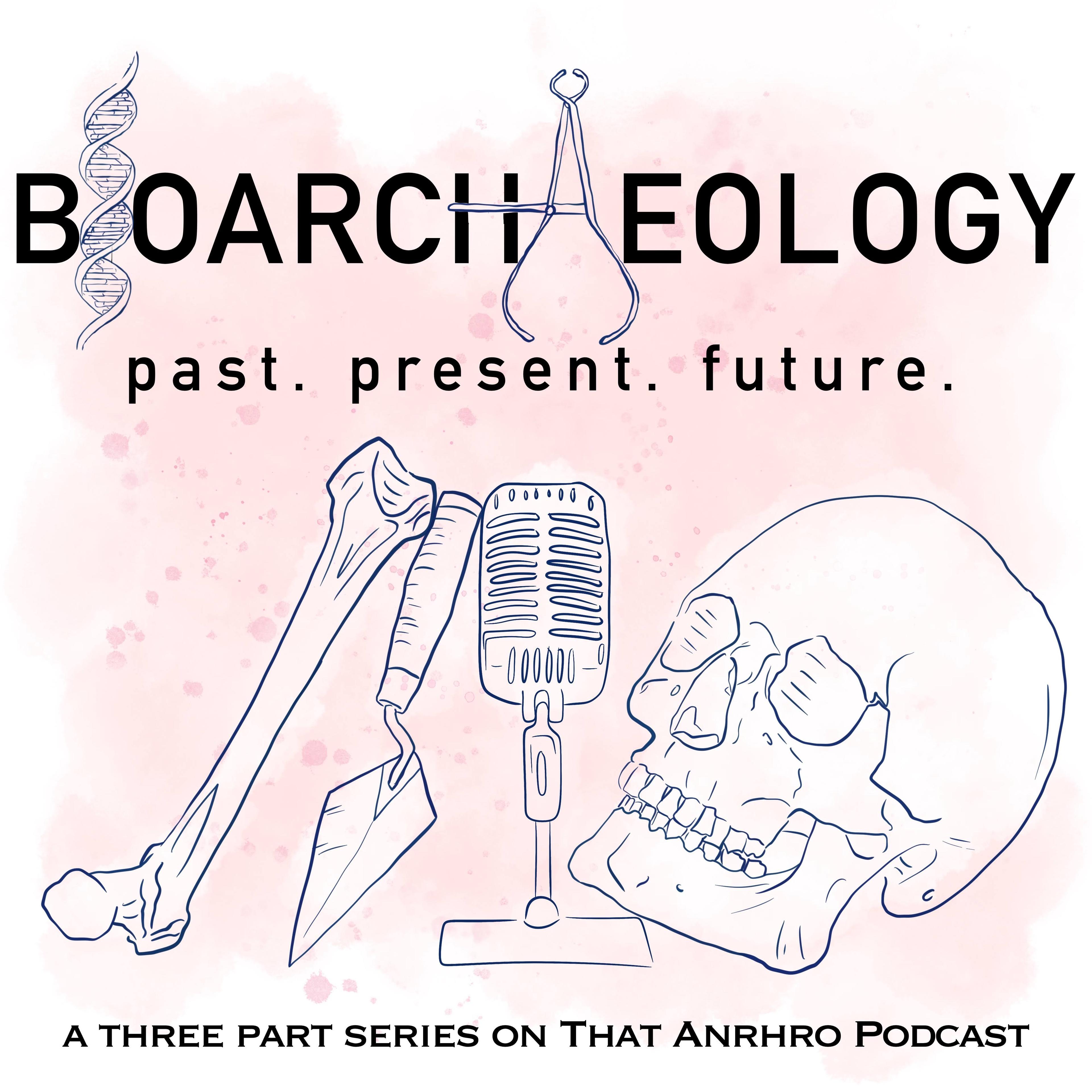 Bioarchaeology Cover