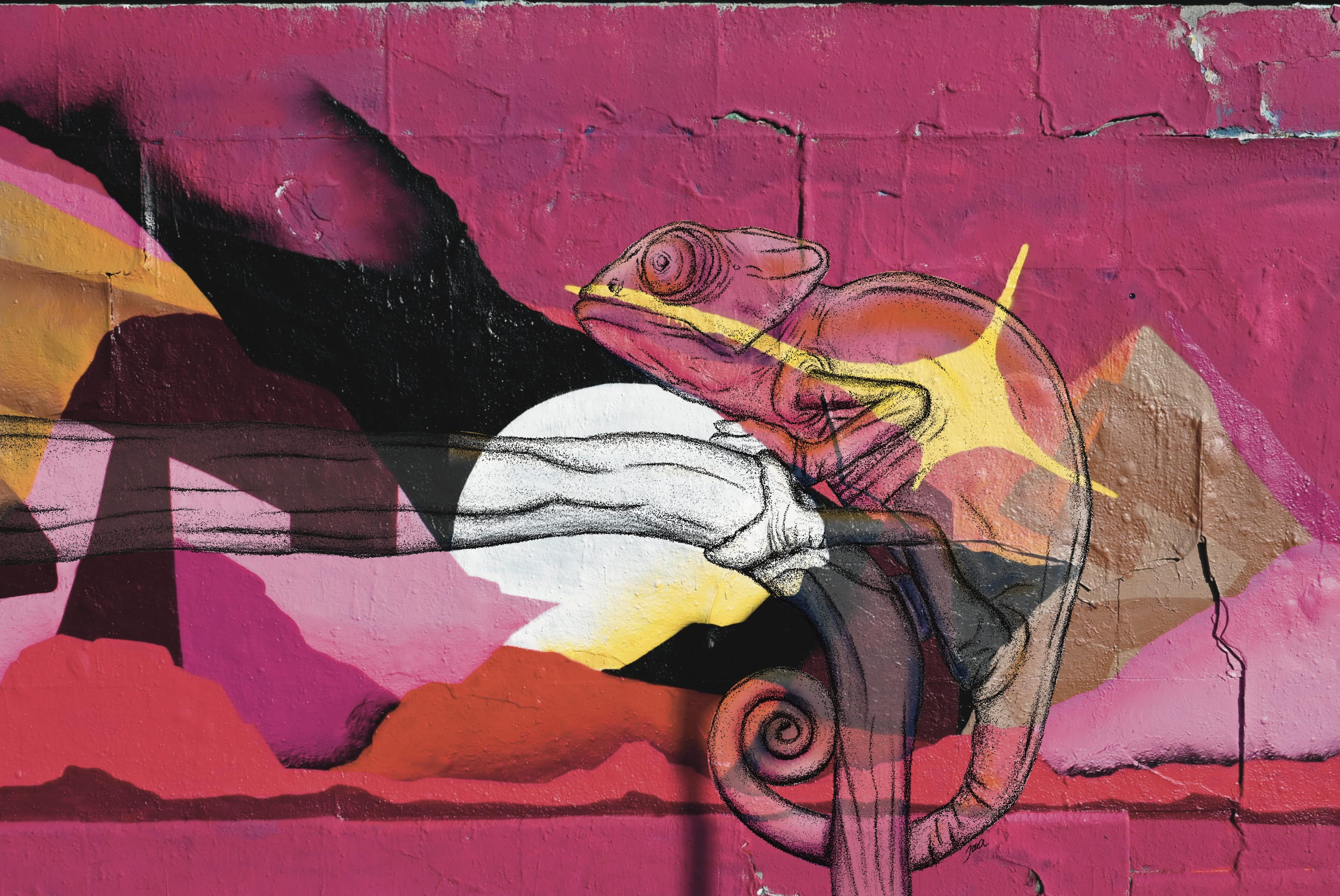 Charmeleon Graffiti