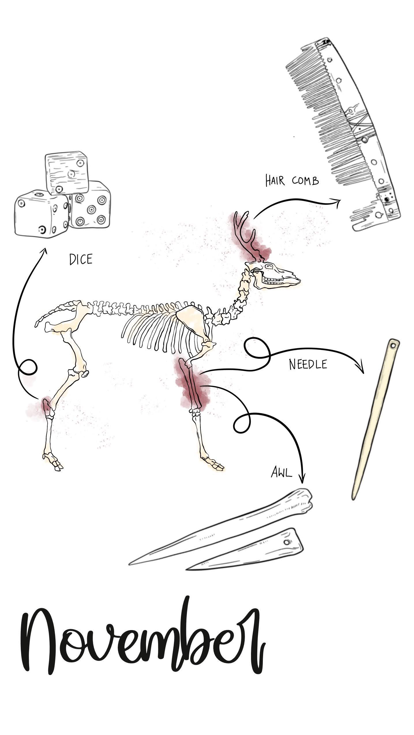 Deer Bones