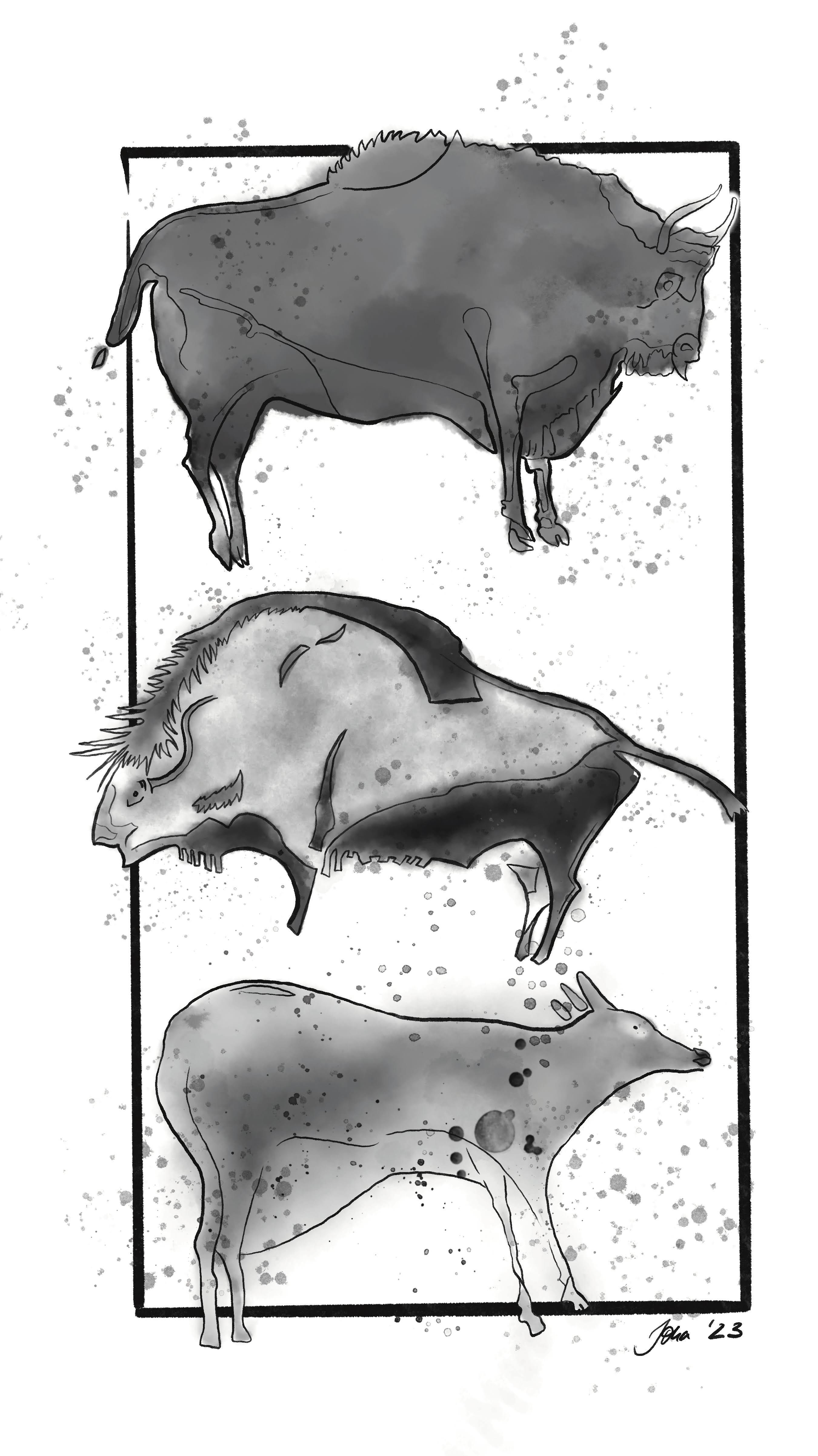 Inked animal illustrations