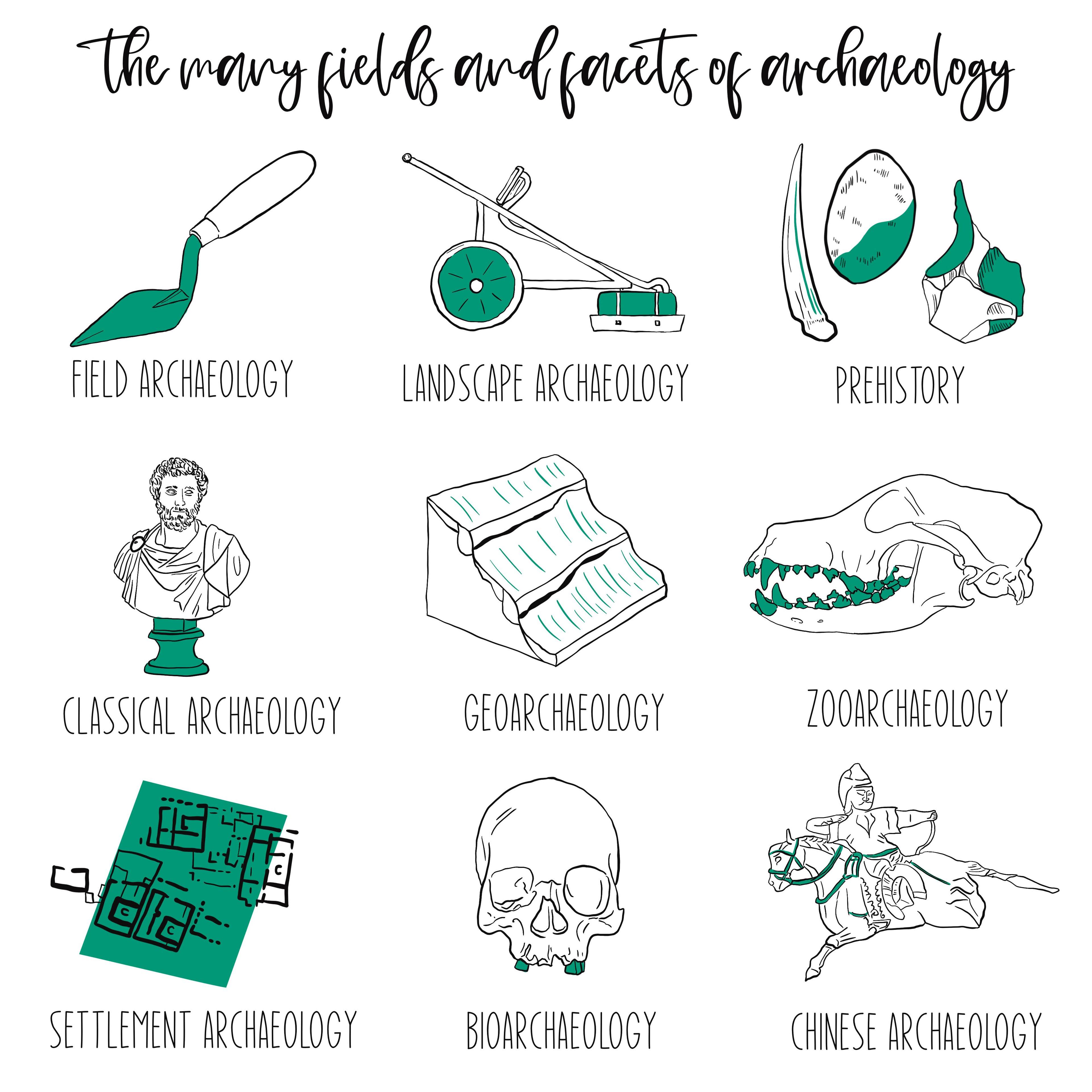 Many Fields Of Archaeology