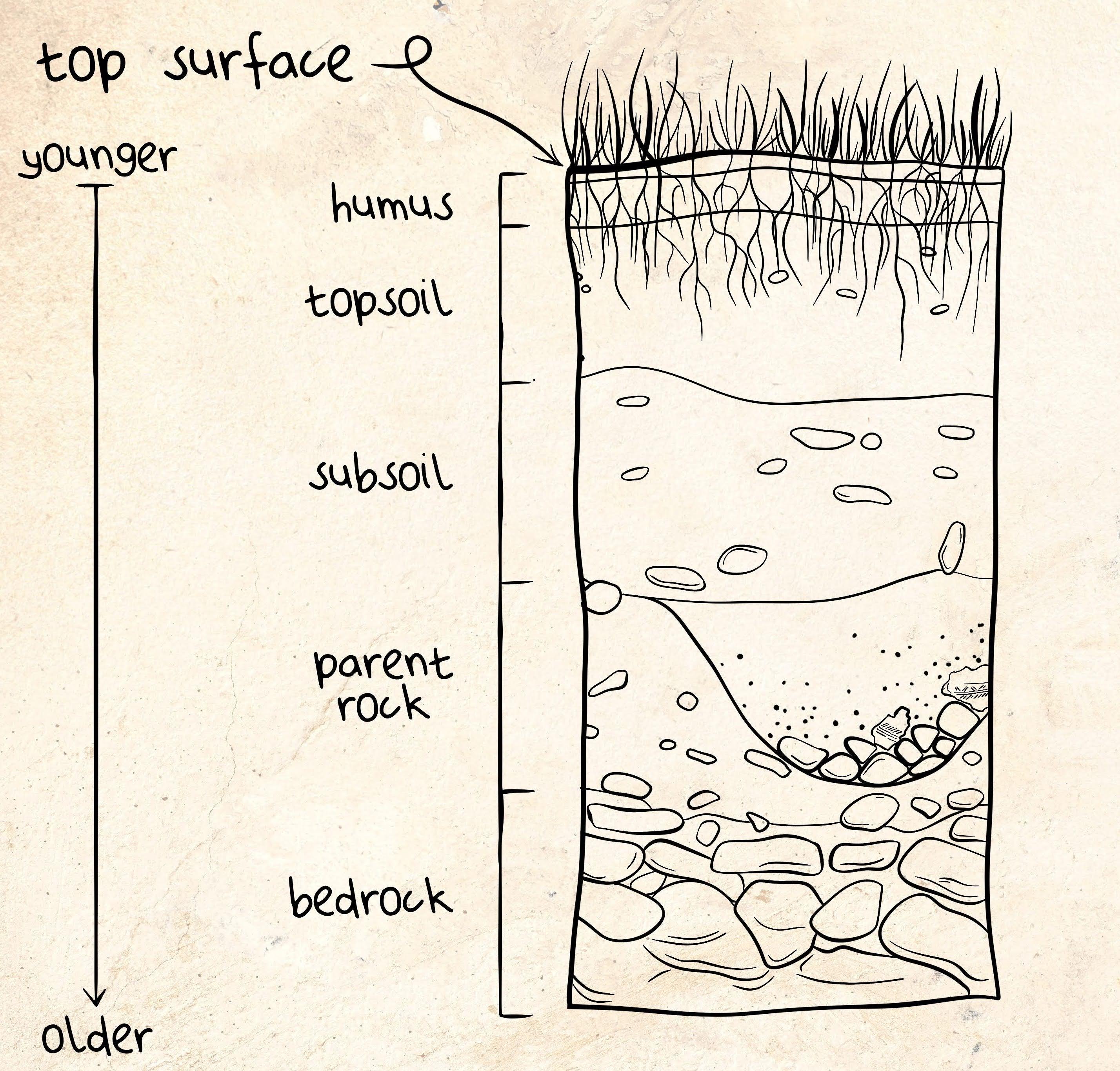 Startigraphy Layers