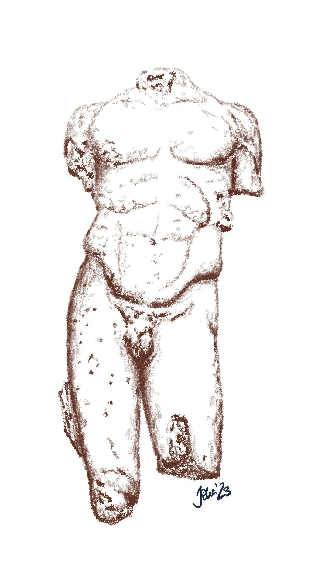 Torso Blended