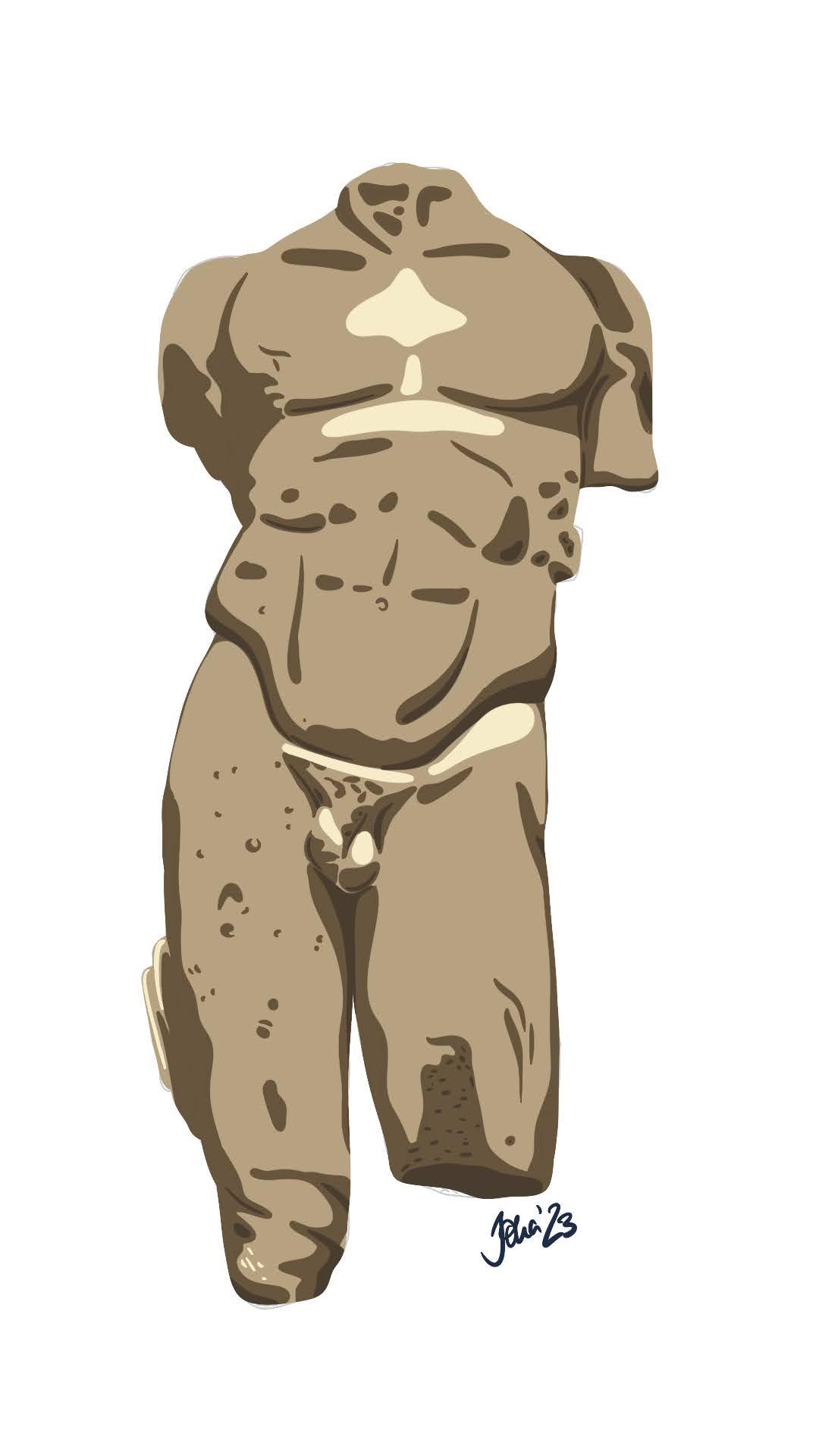 Torso Coloured