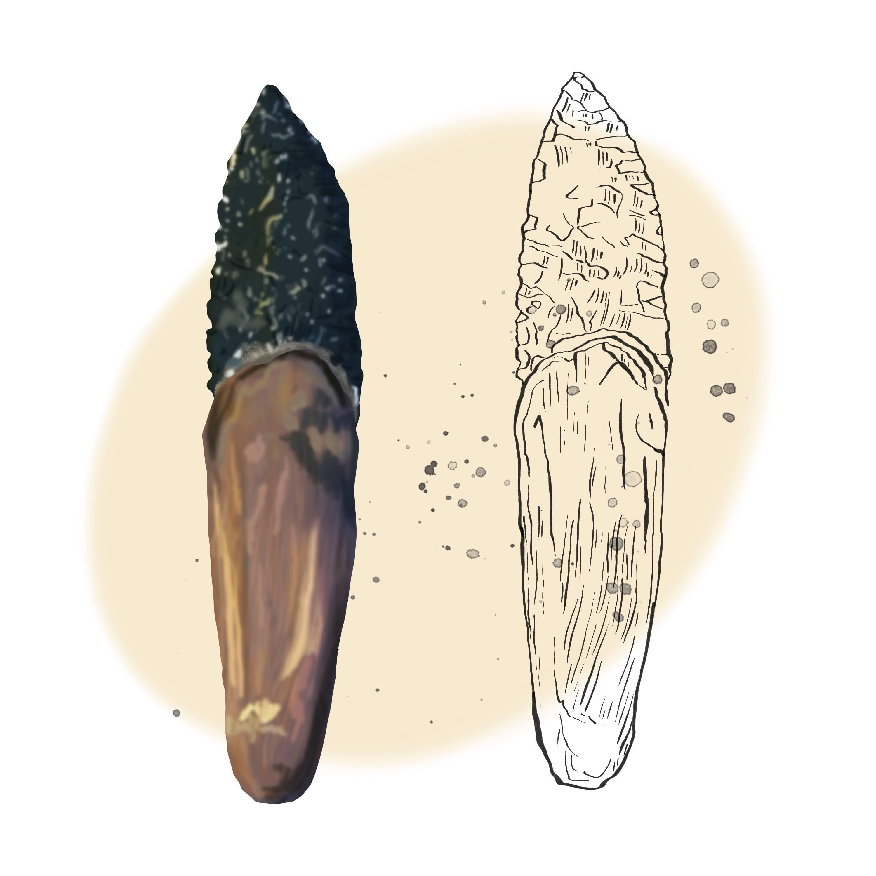 Knife illustration